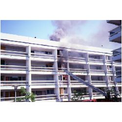 Fire caught on film.jpg